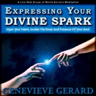 Just Click to own Expressing Your Divine Spark MP3 Expressing Your Divine Spark Meditation