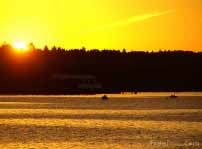 Dawn's early light